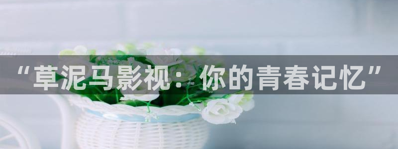 奇优影院官网地址